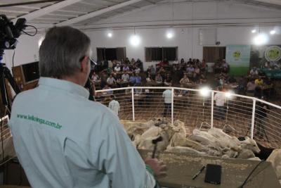 Leilão de Gado em Laranjeiras do Sul Reflete Qualidade e Confiança na Pecuária